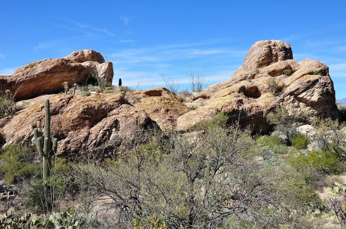 Die Javelina Rocks im Rincon Mountain District des Saguaro National Park