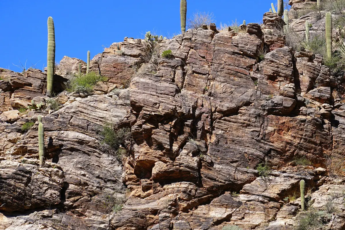 Geschichtete Felswände und Saguaros im Sabino Canyon