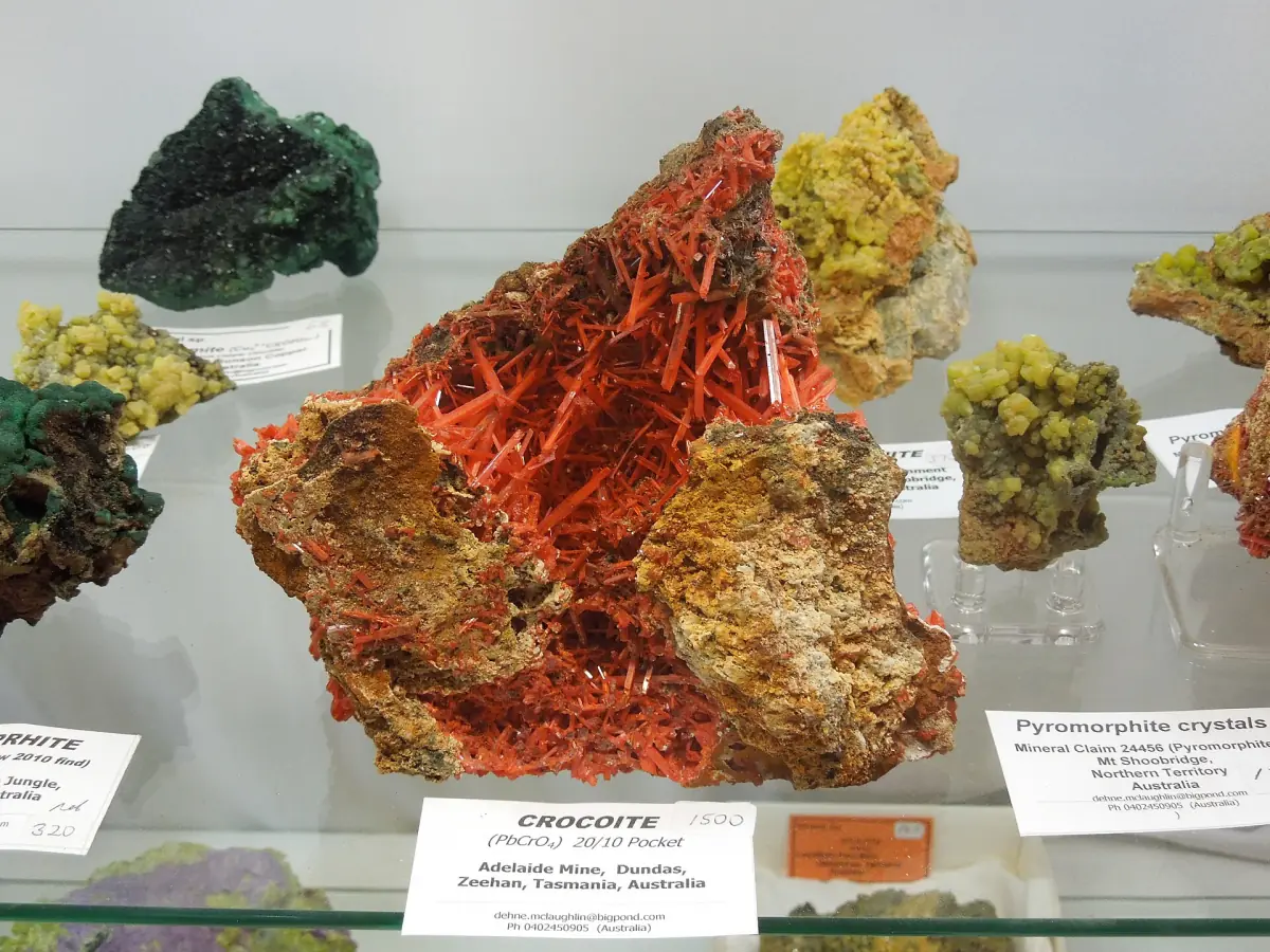 Rote Krokoit-Kristalle in einer Vitrine der Tucson Gem & Mineral Show